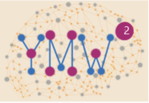 YMW 2024